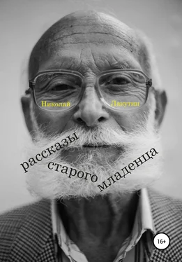 Николай Лакутин Рассказы старого младенца обложка книги