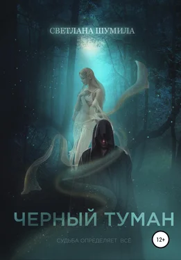 Светлана Шумила Черный Туман обложка книги