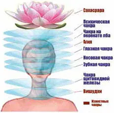Рис 22 Чакры головы Данная энергия существует у каждого человека и - фото 6