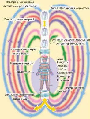 Рис 3 Ориентировочное устройство энергетической структуры человека - фото 7