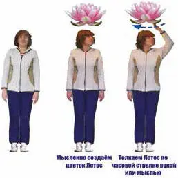 Рис 5 Восстановление чакры Сахасрары Если же говорить о направлении - фото 9