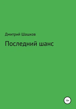 Дмитрий Шашков Последний шанс обложка книги