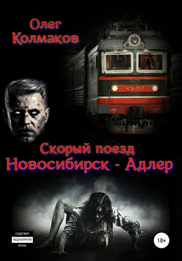 Олег Колмаков Скорый поезд «Новосибирск – Адлер» обложка книги