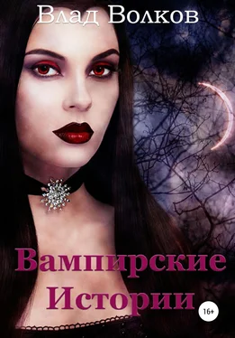 Влад Волков Вампирские истории обложка книги