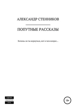 Александр Стенников Попутные рассказы обложка книги