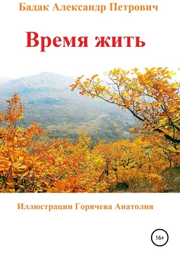 Александр Бадак Время жить обложка книги