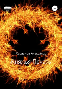 Александр Харламов Княжья Печать обложка книги