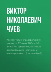 Виктор Чуев - Комментарий к Федеральному закону от 19 июня 2004 г. № 54-ФЗ «О собраниях, митингах, демонстрациях, шествиях и пикетированиях» (постатейный)