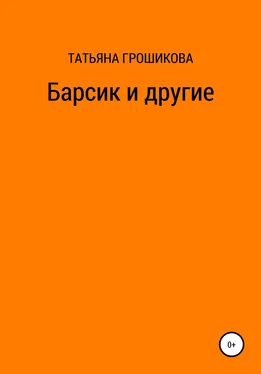 Татьяна Грошикова Барсик и другие обложка книги