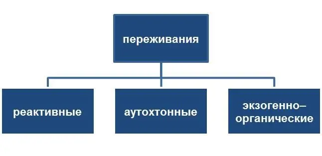 Начнем с душевных движений экзогенноорганического происхождения Хотя - фото 2