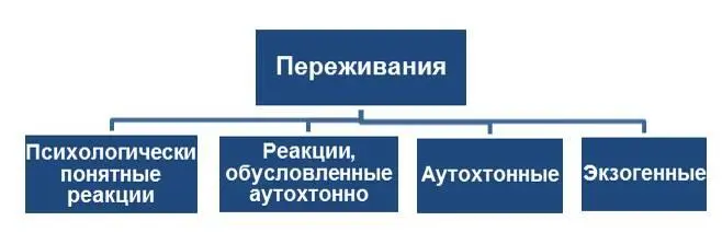 Это более полная схема чем была у нас недавно Она конечно тоже упрощенная - фото 4
