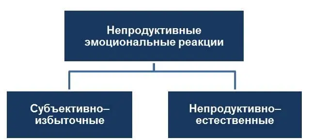 Сначала разберемся с субъективноизбыточными эмоциональными реакциями - фото 5