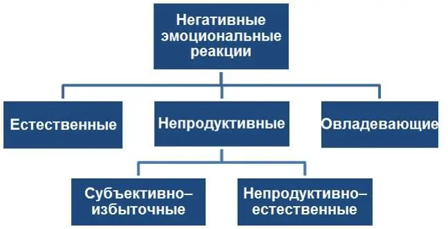 Важно здесь отметить что резких границ между этими разновидностями - фото 6