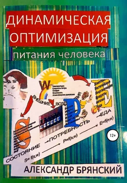 Александр Брянский Динамическая оптимизация питания человека обложка книги