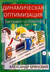 Александр Брянский - Динамическая оптимизация питания человека