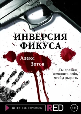 Алекс Зотов Инверсия Фикуса обложка книги
