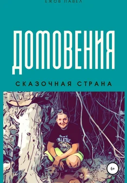 Алина Ежова Домовения обложка книги