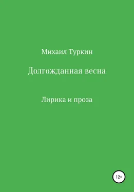 Михаил Туркин Долгожданная весна обложка книги