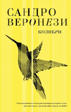 Сандро Веронези Колибри обложка книги