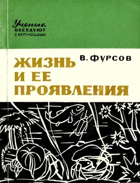 Владимир Фурсов Жизнь и ее проявления обложка книги