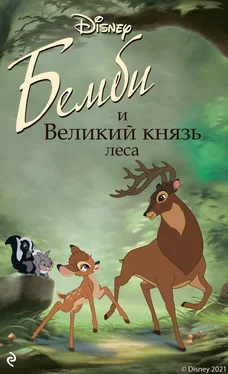 Николас Кристофер Бемби и Великий князь леса обложка книги