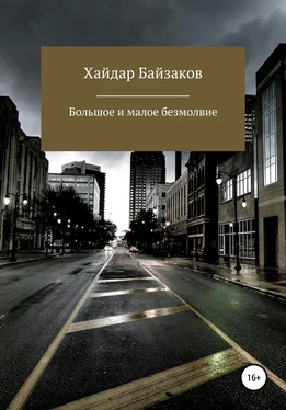 Хайдар Байзаков Большое и малое безмолвие обложка книги