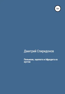 Дмитрий Спиридонов Пельмени, зарплата и Афродита из кустов обложка книги