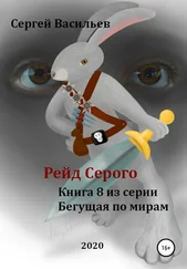 Сергей Васильев - Рейд Серого