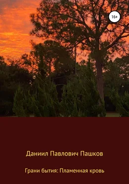Даниил Пашков Грани бытия: Пламенная кровь обложка книги