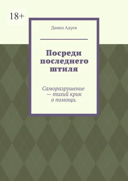 Данил Адуев Посреди последнего штиля обложка книги
