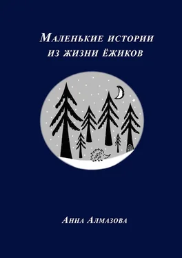 Анна Алмазова Маленькие истории из жизни ёжиков обложка книги