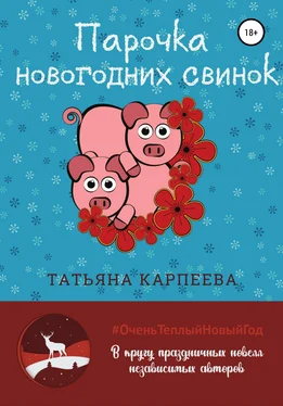 Татьяна Карпеева Парочка новогодних свинок обложка книги