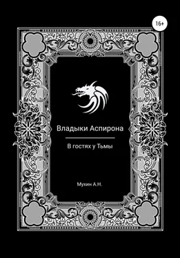 Артём Мухин Владыки Аспирона. В гостях у Тьмы обложка книги