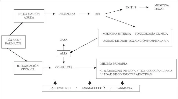 Fig 4 Esquema de asistencia clínica al intoxicado El enorme desarrollo de la - фото 5