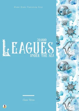 Sheba Blake 20,000 Leagues Under the Sea обложка книги