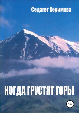 Седагет Керимова Когда грустят горы обложка книги