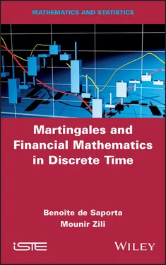 Benoîte de Saporta Martingales and Financial Mathematics in Discrete Time обложка книги