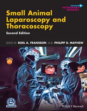 Неизвестный Автор Small Animal Laparoscopy and Thoracoscopy обложка книги