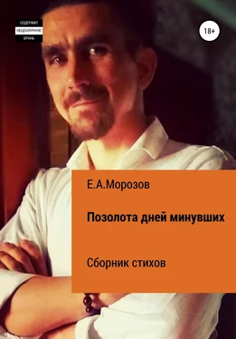 Евгений Морозов Позолота дней минувших обложка книги