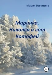 Мария Никитина - Маринка, Николка и кот Котофей