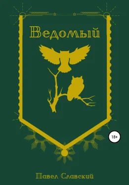 Павел Славский Ведомый обложка книги