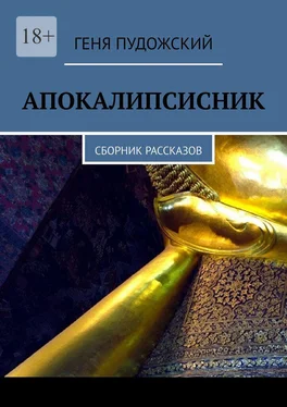 Геня Пудожский Апокалипсисник. Сборник рассказов обложка книги