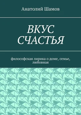 Анатолий Шамов Вкус счастья. Философская лирика о доме, семье, любовная обложка книги