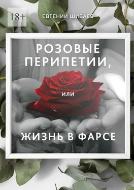 Евгений Шибаев Розовые перипетии, или Жизнь в фарсе обложка книги