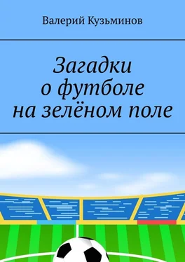 Валерий Кузьминов Загадки о футболе на зелёном поле. Для детского развивающего чтения обложка книги