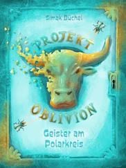 Simak Büchel - Projekt Oblivion - Geister am Polarkreis