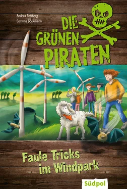Andrea Poßberg Die Grünen Piraten - Faule Tricks im Windpark обложка книги