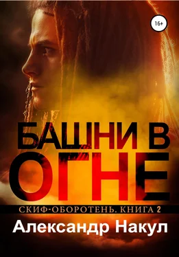 Александр Накул Башни в огне обложка книги