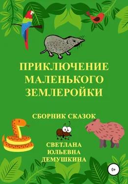 Светлана Демушкина Приключение Маленького Землеройки. Сборник сказок обложка книги