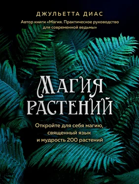 Джульетта Диас Магия растений. Откройте для себя магию, священный язык и мудрость 200 растений обложка книги